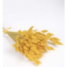 Sarı Kuru Pamuk Otu Demeti, Doğal ve Ferah Bir Seçenek