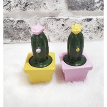 El Yapımı Beton Sukulent Saksı Seti, Pembe, 2'li, Estetik ve Doğal Dekorasyon.