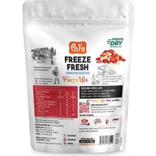 Pol's Freeze Fresh Dondurularak Kurutulmuş Fruit Mix 20 gr