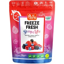 Pol's Freeze Fresh Dondurularak Kurutulmuş Berry Mix 16 gr