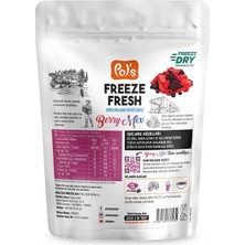 Pol's Freeze Fresh Dondurularak Kurutulmuş Berry Mix 16 gr