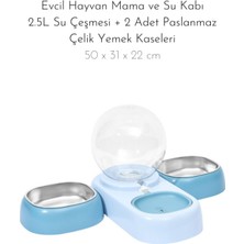 Mavi Paslanmaz Çelik Kedi Köpek Mama ve Su Kabı, 2,5l, 2 Adet