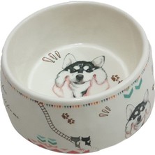 Şık 700 ml Melamin Mama Kabı, Kedi ve Köpekler Için, Krem ve Gri Renk Seçenekleri