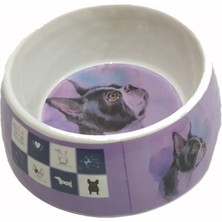 Mor Gri Kedi ve Köpek Mama ve Su Kabı 700 ml BO-3153