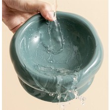 Yeşil Seramik Mama Kabı, Sağlıklı ve Şık Tasarım