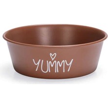 Renkli Paslanmaz Çelik Köpek Mama ve Su Kabı, Kaymaz Taban, 13CM, 470ML