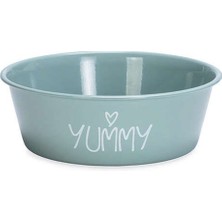 Turkuaz Paslanmaz Çelik Köpek Mama ve Su Kabı, Kaymaz Taban, 13CM, 470ML