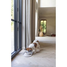 Bambu Köpek Mama ve Su Kabı, Bej, 14CM, 410ML