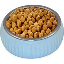 Organik Seramik Mama Kabı, Mavi, Evcil Hayvanlar Için Şık ve Sağlıklı Seçenek