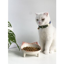 Turuncu Seramik Kedi Mama ve Su Kabı, Şık ve Dayanıklı Tasarım