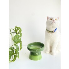 Yeşil Fıstık Renkli Seramik Kedi ve Köpek Mama ve Su Kabı