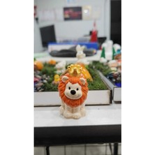 Turuncu Minyatür Obje ve Süsler, Teraryum Malzemeleri