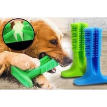 Beyaz Köpek Diş Temizleme Fırçası, Sağlıklı Dişler Için Güçlü Temizlik