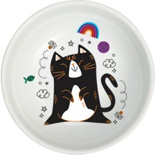 Çok Renkli Seramik Mama Kabı, 250 Ml, 14,5 Cm, Sağlıklı ve Şık Tasarım