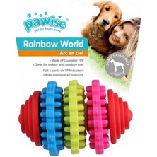 Pawise Rainbow World Dişli 8 cm Dsdrn