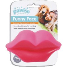 Pawise Vinyl Toy-Lip Köpek Oyuncağı Dsdrn