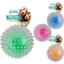 Pawise Flash Bouncer Ball Işıklı Şeffaf Plastik Top Köpek Oyuncağı 12 cm Dsdrn