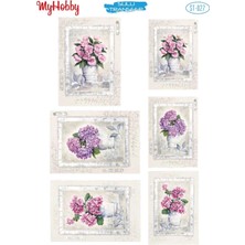 My Hobby Sulu Transfer ST027