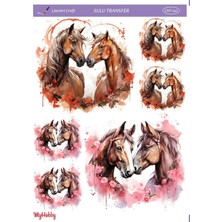 Sulu Transfer LNT242