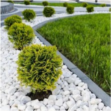 Beyaz Dolomit Taş 5 Kg, 4-6 Cm, Bahçe, Saksı ve Peyzaj Dekorasyonu