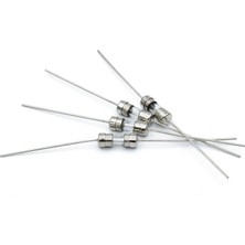 T2.0A 3.6*10MM 250V Çift Pin Hızlı Darbe Cam Sigorta x 1 Adet (RF041)
