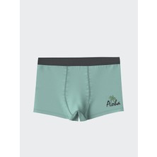 Lc Waikiki Yeni Sezon Baskili Erkek Cocuk Boxer 3'lu - S5HN74Z4