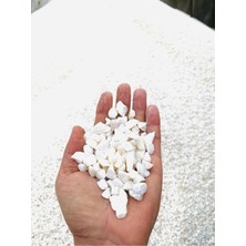 Beyaz Kristal Dolamit Taşı 5 kg 1,5-2 cm Saksı, Akvaryum, Bahçe, Mezarlık Süs Taşı