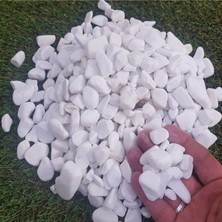 Beyaz Dolomit Taş 1 kg 1-2 cm Bahçe ve Dekorasyon Için Taş