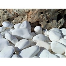5 kg Beyaz Dolomit Taşı, Bahçe, Saksı, Akvaryum ve Teraryum Için 4-6 cm