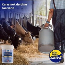 Elanco Agita 10 Wg 100 G