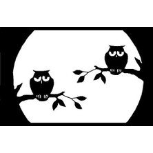 BYR Ay Işığında 2d Baykuş (Sadece Plastik Aparattır!!!) 3D