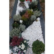 Beyaz Dolomit Taş 5 kg 2,5-4 cm Bahçe Süs ve Dekorasyon Taşı