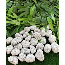 Benekli Taş 3 Kg, 2-4 Cm, Siyah Beyaz, Dekoratif Bahçe ve Iç Mekan Kullanımı