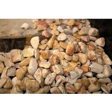 Sarı Çizgili Dolomit Taş 2 Kg, Bahçe Dekor, Süs ve Çakıl Taşı, 1,5-2,5 cm