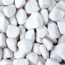 Beyaz Dolomit Taş 3 Kg, 2,5-4 Cm, Bahçe, Saksı, Teraryum, Akvaryum Süs Taşı