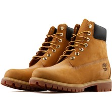 Timberland 6 Inch Premium Boot Sarı Erkek Bot TB0100617131
