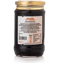 OTS Organik Dut Pekmezi 380 g.