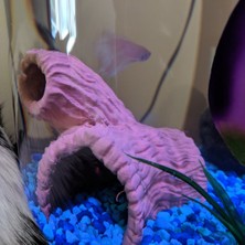 BYR Balık Tankı Için Evcil Hayvan Günlüğü (Plastik Aparattır) 3D