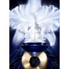 Guerlain Orchidee İmperiale 5g Day Cream 50 ml
