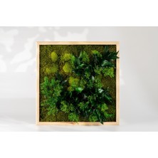 Doğal Yosun & Yapraklı Duvar Dekoru | 45X45 cm | Bakım Gerektirmez | Ahşap Çerçeve ile El Yapımı Bitki Panosu