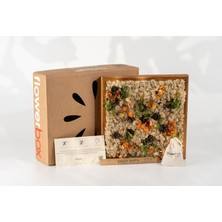 30X30 cm Sonbahar Temalı Doğal Yosun Duvar Tablosu | El Yapımı & Bakım Gerektirmez | Ahşap Çerçeveli Rustic Bitki Dekoru