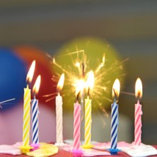 50 Paket Pastamumu-25 Paket Mum Altlığı