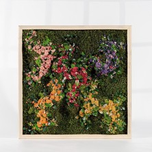 45X45 cm Renkli Doğal Yosun Tablosu | El Yapımı Liken Moss Duvar Dekoru | Bakım Gerektirmez – Ahşap Çerçeveli