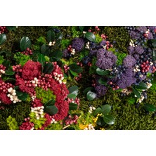 45X45 cm Renkli Doğal Yosun Tablosu | El Yapımı Liken Moss Duvar Dekoru | Bakım Gerektirmez – Ahşap Çerçeveli