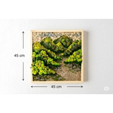 45X45 cm Doğal Taşlı Yosun Duvar Tablosu | El Yapımı, Bakım Gerektirmez, Siyah Alüminyum Çerçeve | Modern Botanik Dekor
