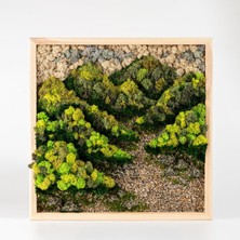45X45 cm Doğal Taşlı Yosun Duvar Tablosu | El Yapımı, Bakım Gerektirmez, Siyah Alüminyum Çerçeve | Modern Botanik Dekor