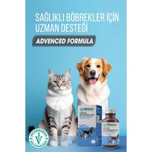 Mixtura Pharma Uroxil Kedi ve Köpek Idrar Yolu Sağlığını Destekleyici Sıvı