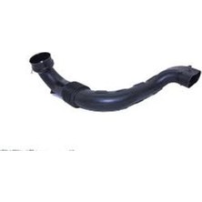 Renault Dacia Hava Filtre Borusu 165558896R