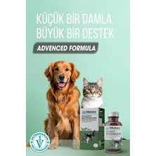 Mixtura Pharma Oncovet Kedi ve Köpek Tümör Oluşumuna Karşı Bağıışıklığı Destekleyici Sıvı