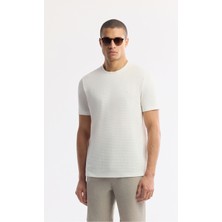 AVVA Erkek Ekru Bisiklet Yaka Viskon Karışımlı Jakarlı Regular Fit T-Shirt A51Y1041